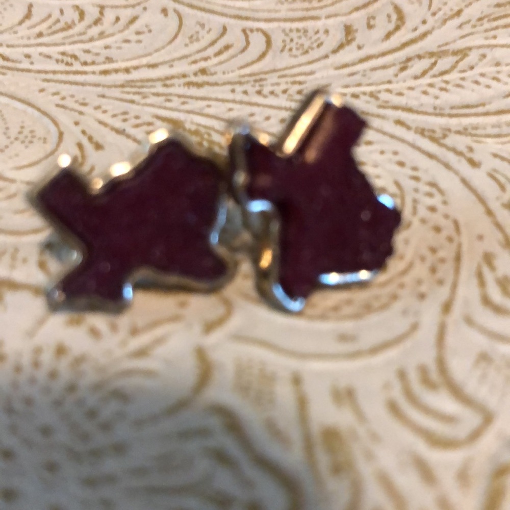 Texas Earring Set - image 7